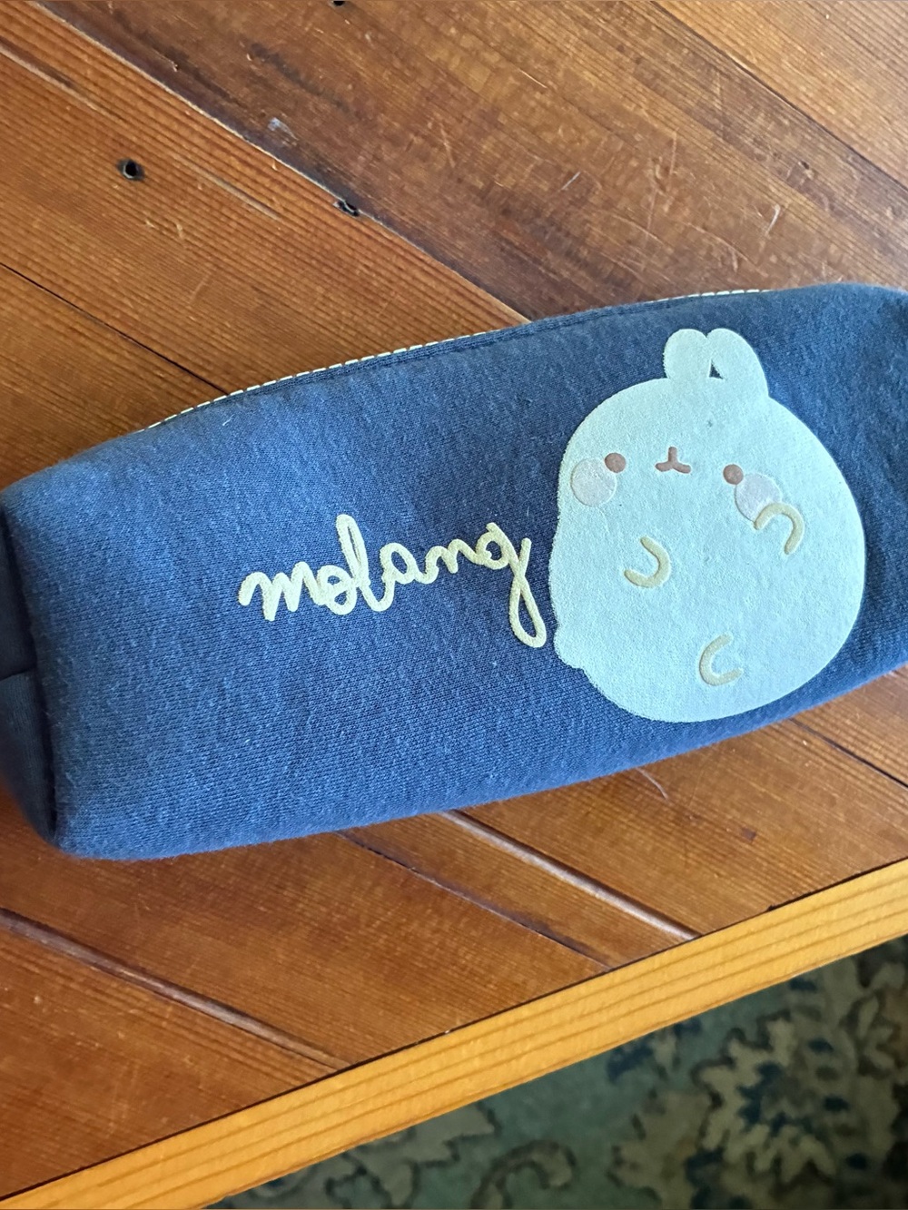 Molang Blue kawaii Pencil Case